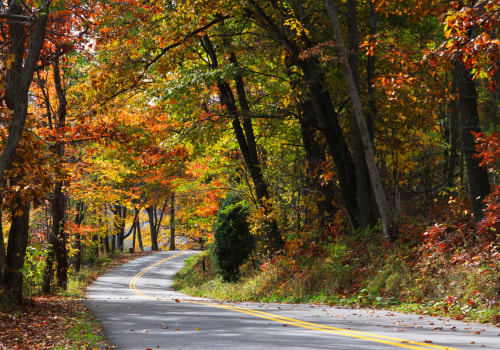 The Ultimate Guide to Visiting Southern Maryland for the Perfect Accommodation Experience